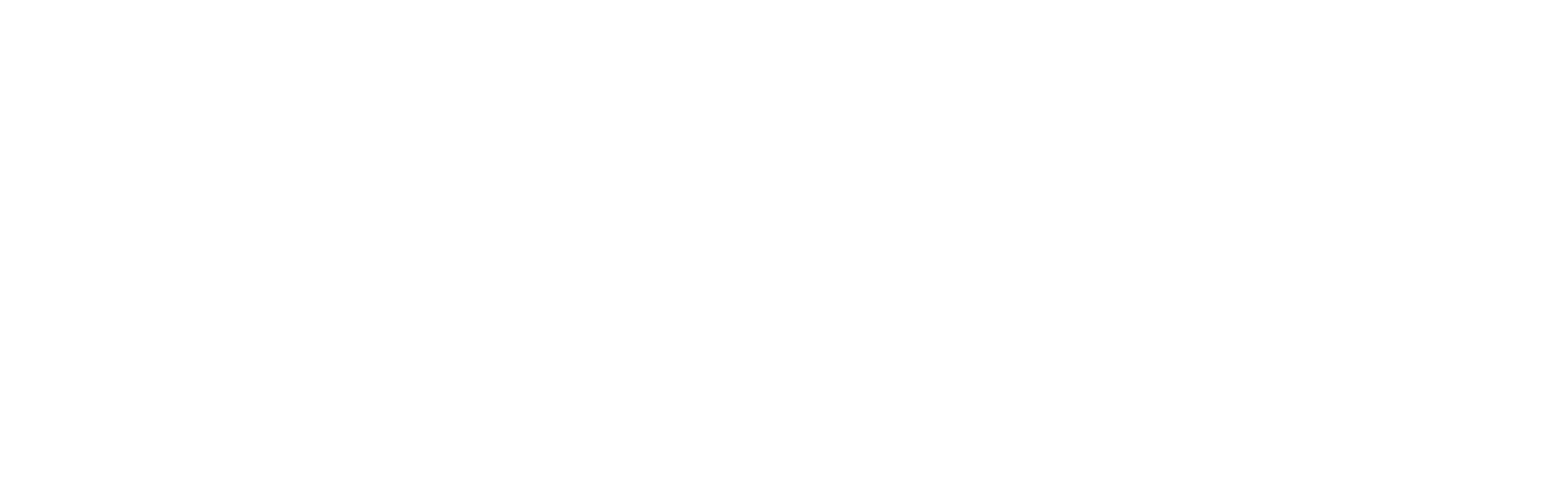 FortiFi Network Solutions