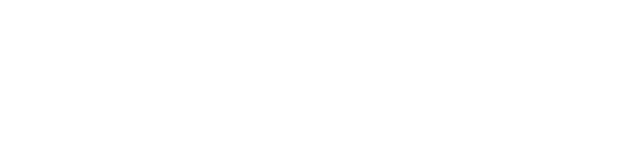 FortiFi Network Solutions logo (white)